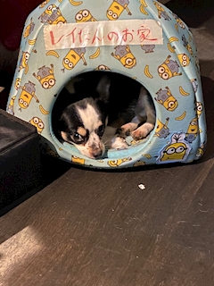 プロフィール写真1・ママ｜