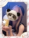 プロフィール写真1・のぞみ🦦｜KiRaRa - すすきののスナック