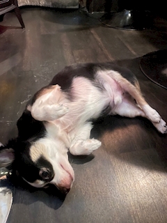 れい🍣「甘えん坊🐾」