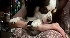 れい🍣「甘えん坊🐾」