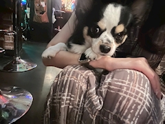 れい🍣「甘えん坊🐾」