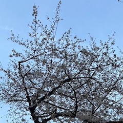 れいな「1年ぶりの投稿🫢」