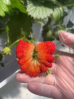 あゆ「出勤したよ！！」