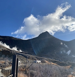 さおり🐰「🥚🖤」