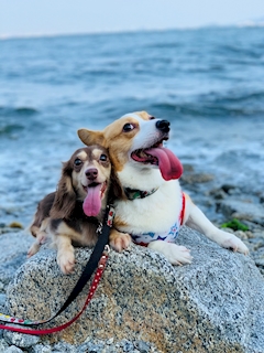 プロフィール写真2・スタッフK｜