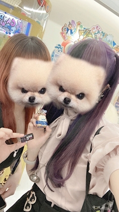 ぴよ「夏休み🌚」