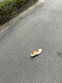 新着ブログ 金曜日のシンデレラ👠