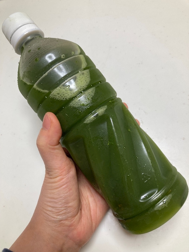 深町 諒