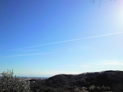 プロフィール写真12・ありな｜CLUB ROMAN・ロマン - 上野の熟女パブ/熟女キャバクラ