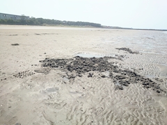 プロフィール写真27・ありな｜CLUB ROMAN・ロマン - 上野の熟女パブ/熟女キャバクラ