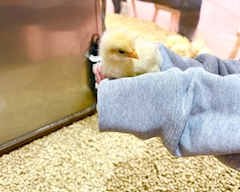 もえ「こんばんは😽」