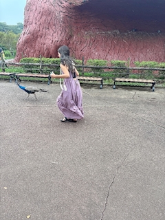 凪