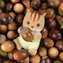 chiko