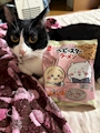 chiko