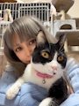 chiko