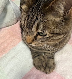 せり🍜✨「✨✨贅沢💎✨✨」