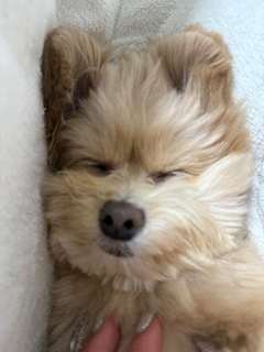 みう「ういー」
