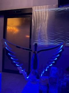 みう「おはあ」