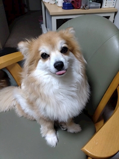 あいり
