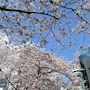 新着ブログ 🌸