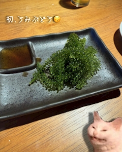 れな 【POP STAR】「🥩🎉」