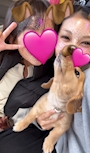 chiko