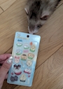 chiko