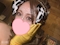プロフィール写真4・💛みすず🌹｜BAMBOO STYLE・バンブースタイル - 三重 四日市のキャバクラ