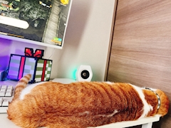 ちあ