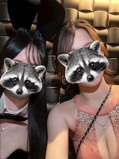 🐰Cameliaバニーブログ🐰「✌︎(๑•ᴗ•๑)✌︎」
