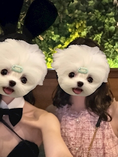 🐰Cameliaバニーブログ🐰「🤳🏻🤍⟡.·」