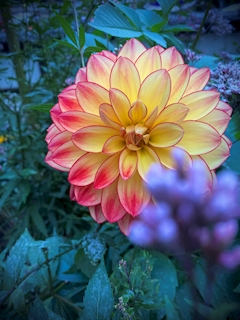 プロフィール写真5・びび｜club ACE・エース - 成田のキャバクラ