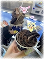 chiko