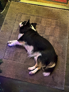 みずき「☀️😖」