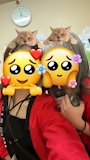 chiko