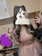 プロフィール写真1・まみ|JEWEL 黒川・ジュエル クロカワ - 名古屋 黒川のガールズバー