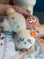 chiko