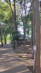 うた  .♬.•*✧   Mrs.J上野