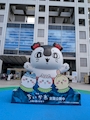 chiko