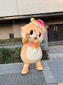 chiko