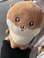 chiko