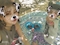 プロフィール写真24・どん まい|gallery・ギャラリー - 岡崎のスナック