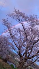 えりか様(´◉👄◉)