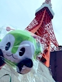 chiko