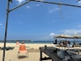 新着ブログ 🌞🌴🌺✨