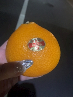 🍒 か れ ん 🍒    水響