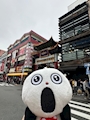 chiko