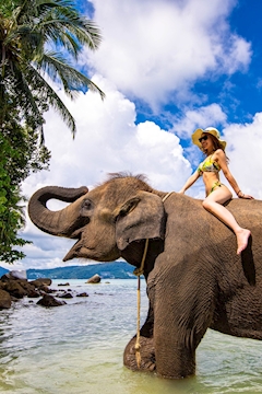 プロフィール写真20・咲🌻盛岡ALAZIN｜new club ALAZIN・アラジン - 盛岡のキャバクラ