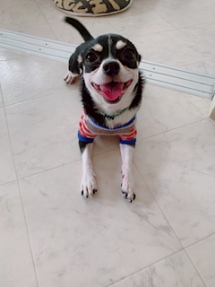 プロフィール写真1・もずく｜SERENA・セレナ - 名古屋 錦のスナック