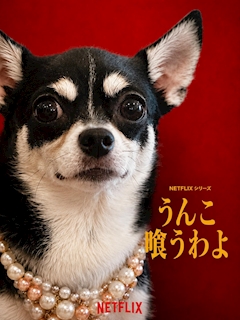 プロフィール写真1・もずく|SERENA・セレナ - 名古屋 錦のスナック